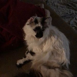 Meet your Posher, Jeanne